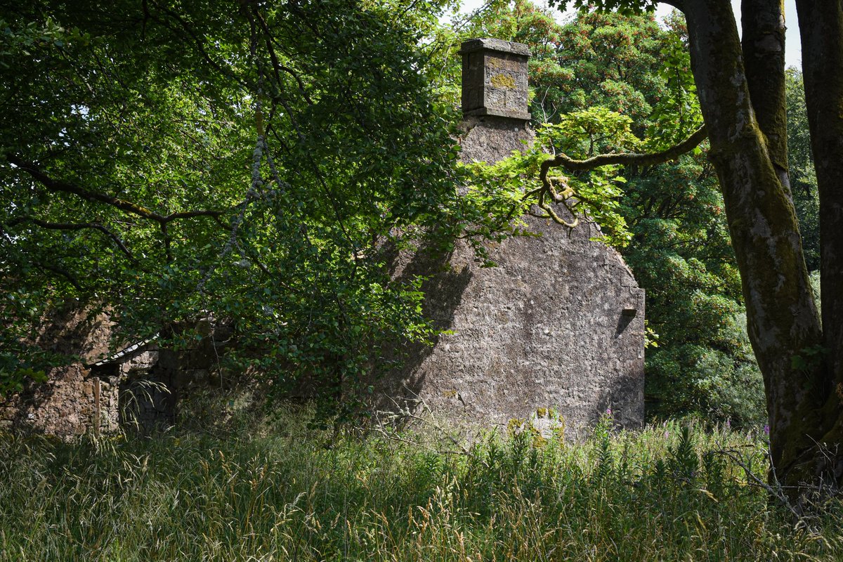 My Country Diary from the Borders on the abandoned hill farm of Westshiels