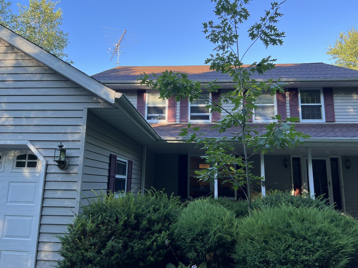 Bridget Willard tweet media