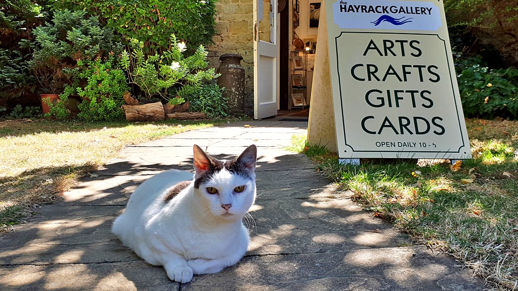 Bounty would like to remind everyone to be careful out in the sunshine over the next few days, and to make sure your pets are safe and cool too. She has been checking out all the shady spots this morning here at 
<a href="/OldDairyFarmNN7/">Old Dairy Farm NN7</a>
#shoplocal #hayrack20 #catsatwork #KeepPetsSafe
