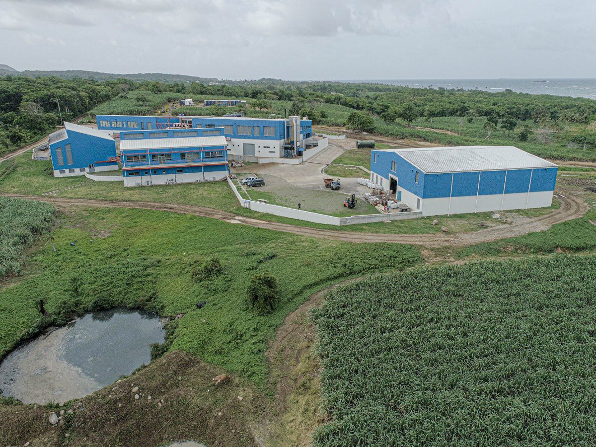 Cane fields of Pearls Farm.