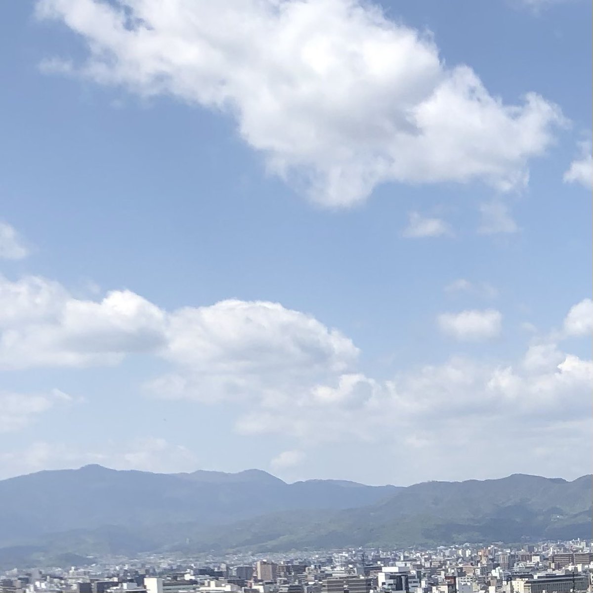 exy_sora_'s tweet photo. 実は実は僕柚木そら、
Tiktokerしてます…|´・-・)チラッ
見つけてくれた姫様は何かいいことあるかも🫥
見つけてくれたらお会いした時に教えてください🤲
#女性用風俗 #女風 #EXYGROUP
#セラピスト #女風セラピスト #出張ホスト https://t.co/xQ4vrNvihs