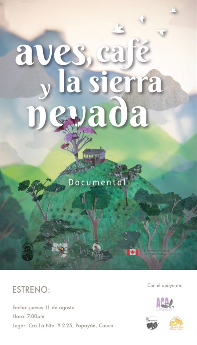 selvaorgco's tweet photo. ¡Esta noche! Gran estreno del documental ‘Aves, Café y la Sierra Nevada de Santa Marta’. Nos vemos a las 7:00PM en La Trocha Café (Calle 1N Cra 2, Popayán) y por Facebook Live. https://t.co/kVbx4U41Hu