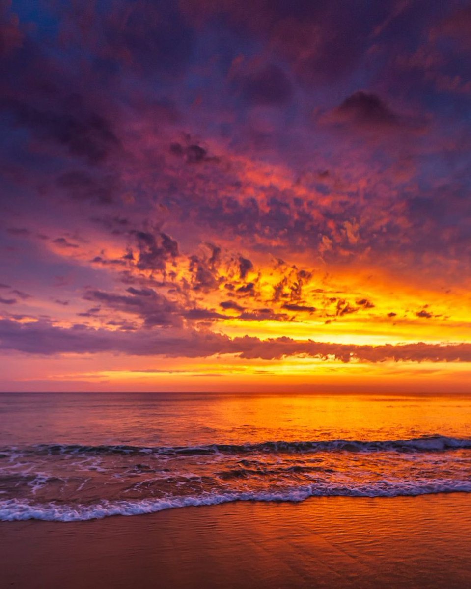 Aesthetics (@aestheticspost_) on Twitter photo 