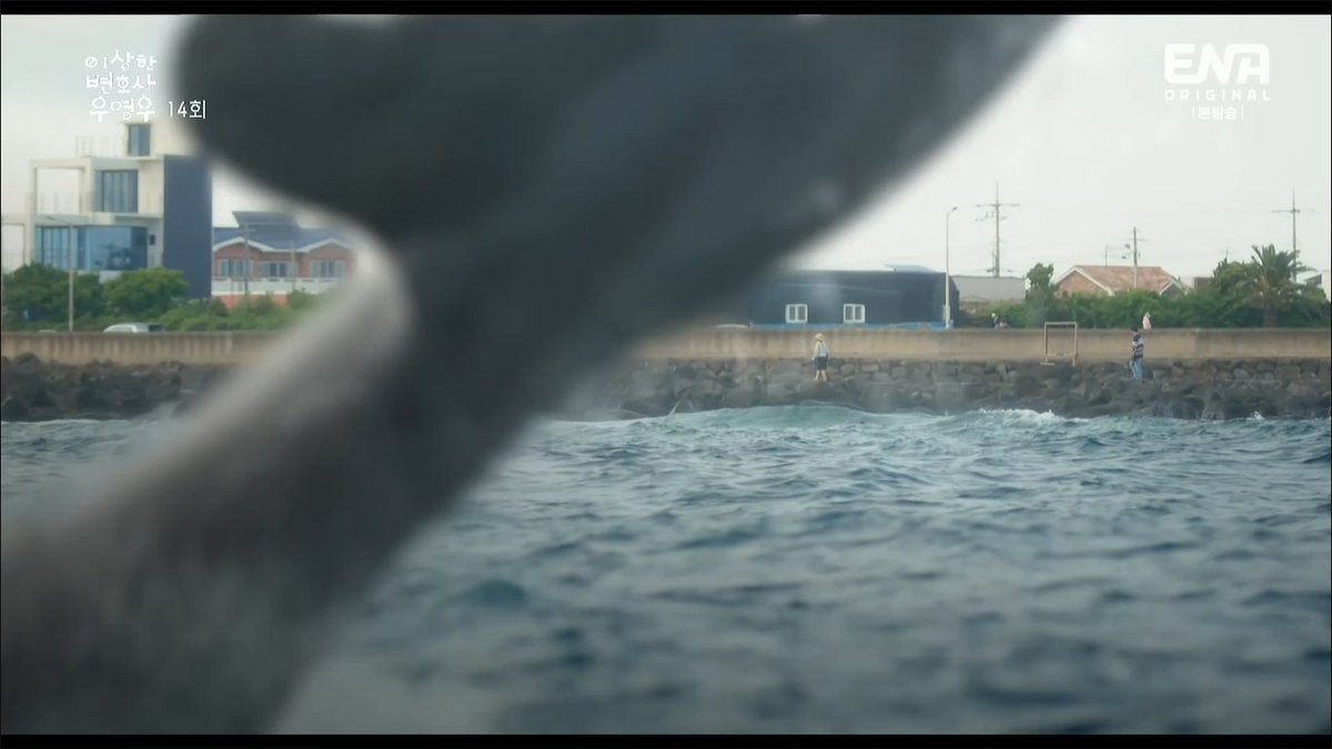 they went there to see the dolphins but didn't see any while waiting. After the emotional scene, the dolphin finally showed up but they weren't able to see it anymore cause they're leaving already.

talk about bad timings :')

#ExtraordinaryAttorneyWooEp14