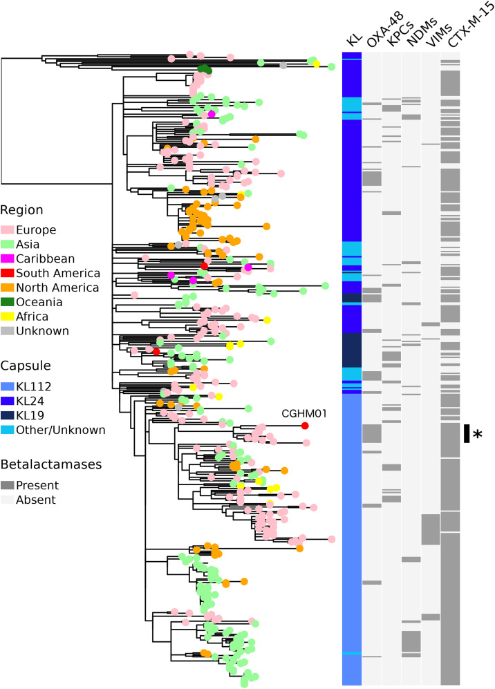 Microbial Genomics Lab 🇺🇾 tweet media
