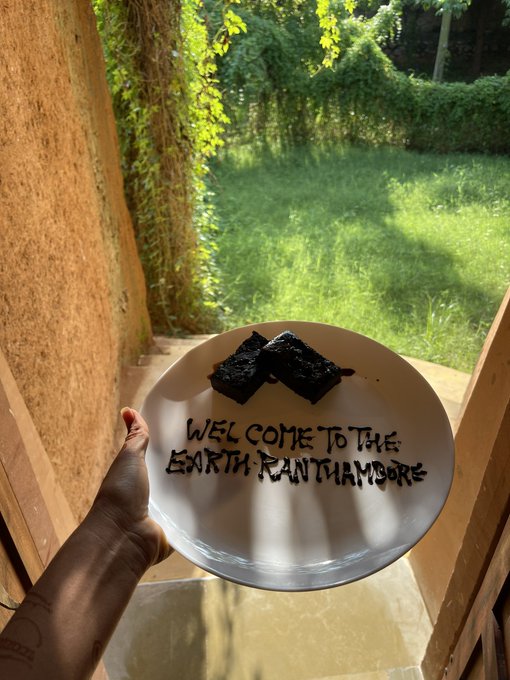 Jungle vibes 🐅 https://t.co/mSIpkkH8Dk 🔥 https://t.co/4nhkWu76hb<a href="/tag/india"class="tags"><span>#india</span></a><a href="/tag/agra"class="tags"><span>#agra</span></a><a href="/tag/tajmahal"class="tags"><span>#tajmahal</span></a>