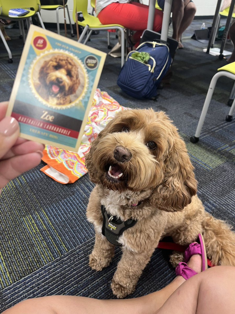 natwithherbooks's tweet photo. “I saw on Twitter you had a therapy dog at your last institute. I also have a therapy dog.”🗣BRING HER!!!! Y’all Zoe is everything! And she comes with a trading card! Therapy dogs for the win this summer! #tcrwp @katie_starn @troyschools @LisaMcD2000 @FishLovesBooks #OneTroy https://t.co/AFhjSGCZxR