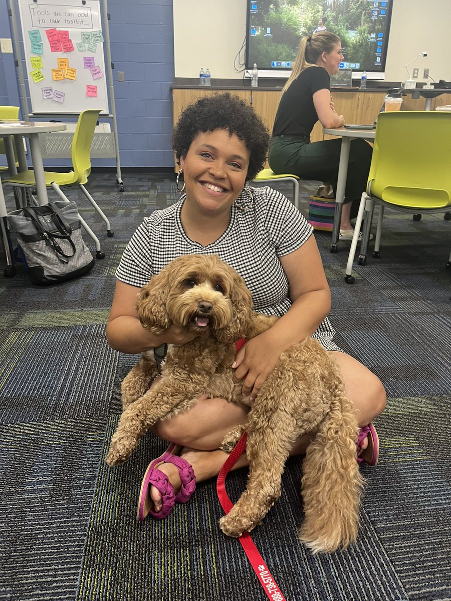 natwithherbooks's tweet photo. “I saw on Twitter you had a therapy dog at your last institute. I also have a therapy dog.”🗣BRING HER!!!! Y’all Zoe is everything! And she comes with a trading card! Therapy dogs for the win this summer! #tcrwp @katie_starn @troyschools @LisaMcD2000 @FishLovesBooks #OneTroy https://t.co/AFhjSGCZxR