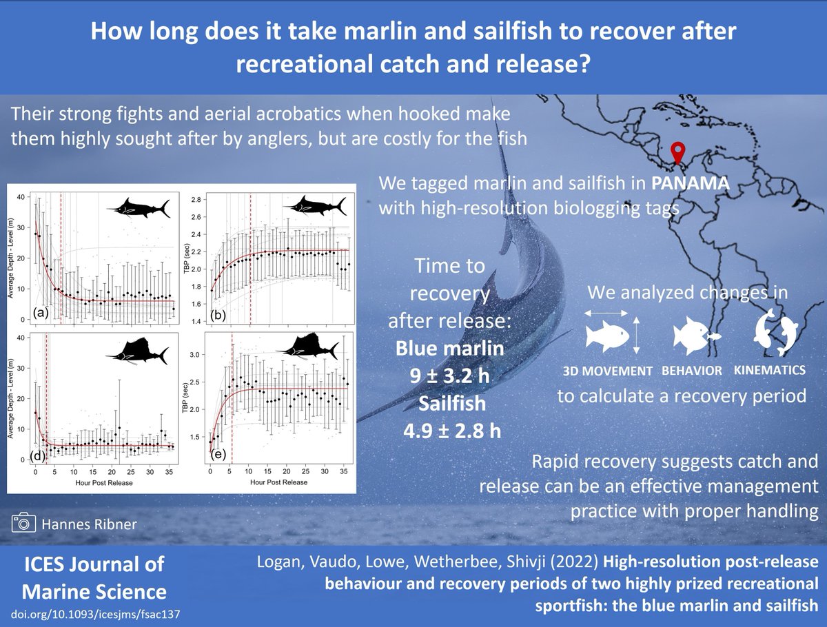 Ryan Logan, PhD (@rklogan) on Twitter photo š¢š¢ 1st chapter of my PhD is out now <a href="/ICES_ASC/">ICES</a>!! Huge thank you to my coauthors and everyone who made this study possible š <a href="/NSUGHRI/">Guy Harvey Research Institute</a> <a href="/NSUFlorida/">Nova Southeastern U.</a> <a href="/GuyHarveyOcean/">Guy Harvey Foundation</a> <a href="/TropicStarLodge/">Tropic Star Lodge</a> #billfish #marlin #sailfish #catchandrelease #fishingforscience
tinyurl.com/27m5p6ya š¢š¢ 1st chapter of my PhD is out now <a href="/ICES_ASC/">ICES</a>!! Huge thank you to my coauthors and everyone who made this study possible š <a href="/NSUGHRI/">Guy Harvey Research Institute</a> <a href="/NSUFlorida/">Nova Southeastern U.</a> <a href="/GuyHarveyOcean/">Guy Harvey Foundation</a> <a href="/TropicStarLodge/">Tropic Star Lodge</a> #billfish #marlin #sailfish #catchandrelease #fishingforscience
tinyurl.com/27m5p6ya