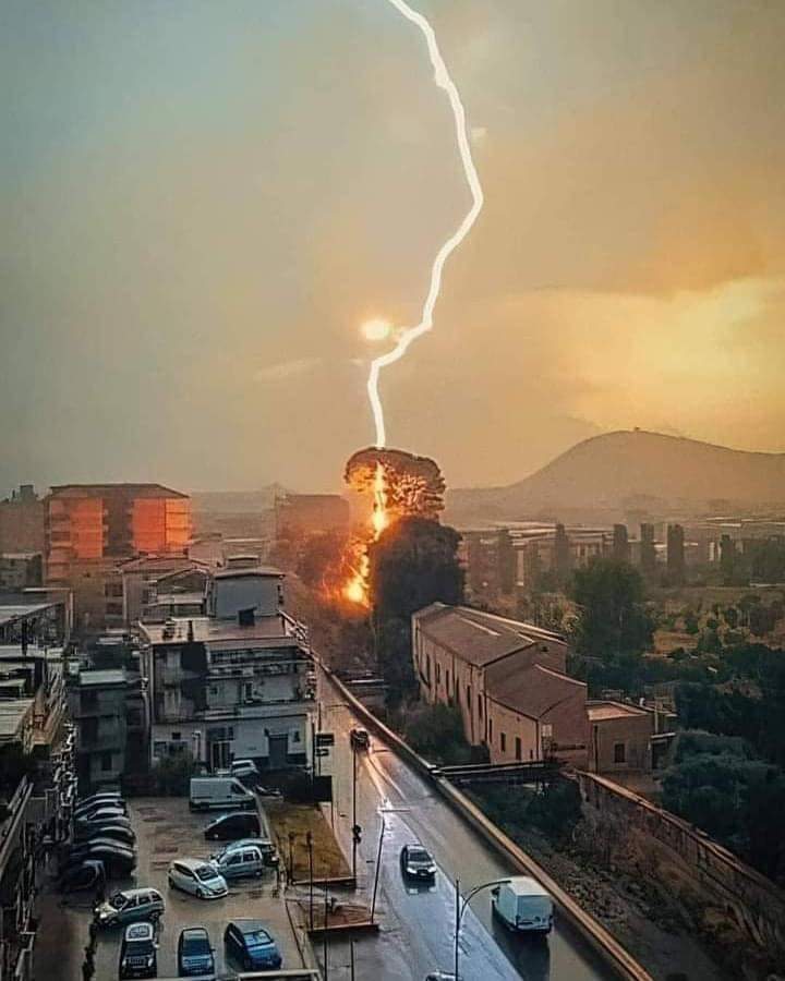 MMmarco0's tweet photo. Questa foto scattata ieri a Nocera, in provincia di Salerno, ci ricorda perché stazionare vicino agli alberi durante un temporale può essere molto pericoloso. https://t.co/GmEuDLk9dT