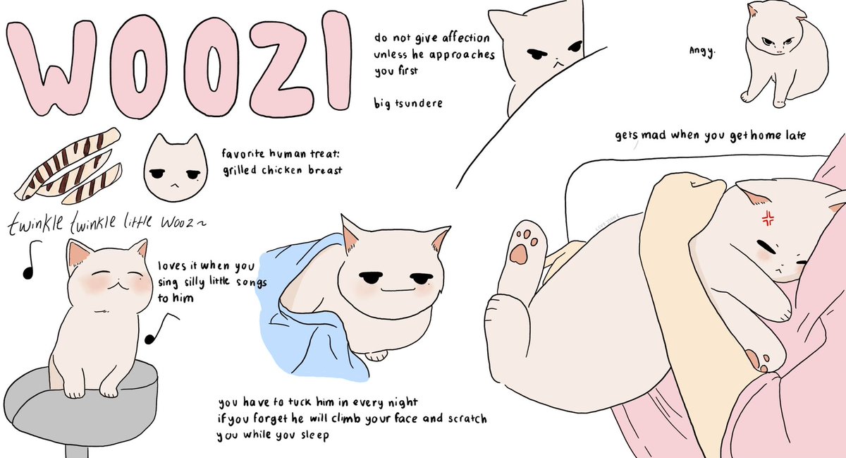 lcvejjong's tweet photo. svt 96z as your pet cat 🐱
adopt one today! https://t.co/mtEnIKIdoh