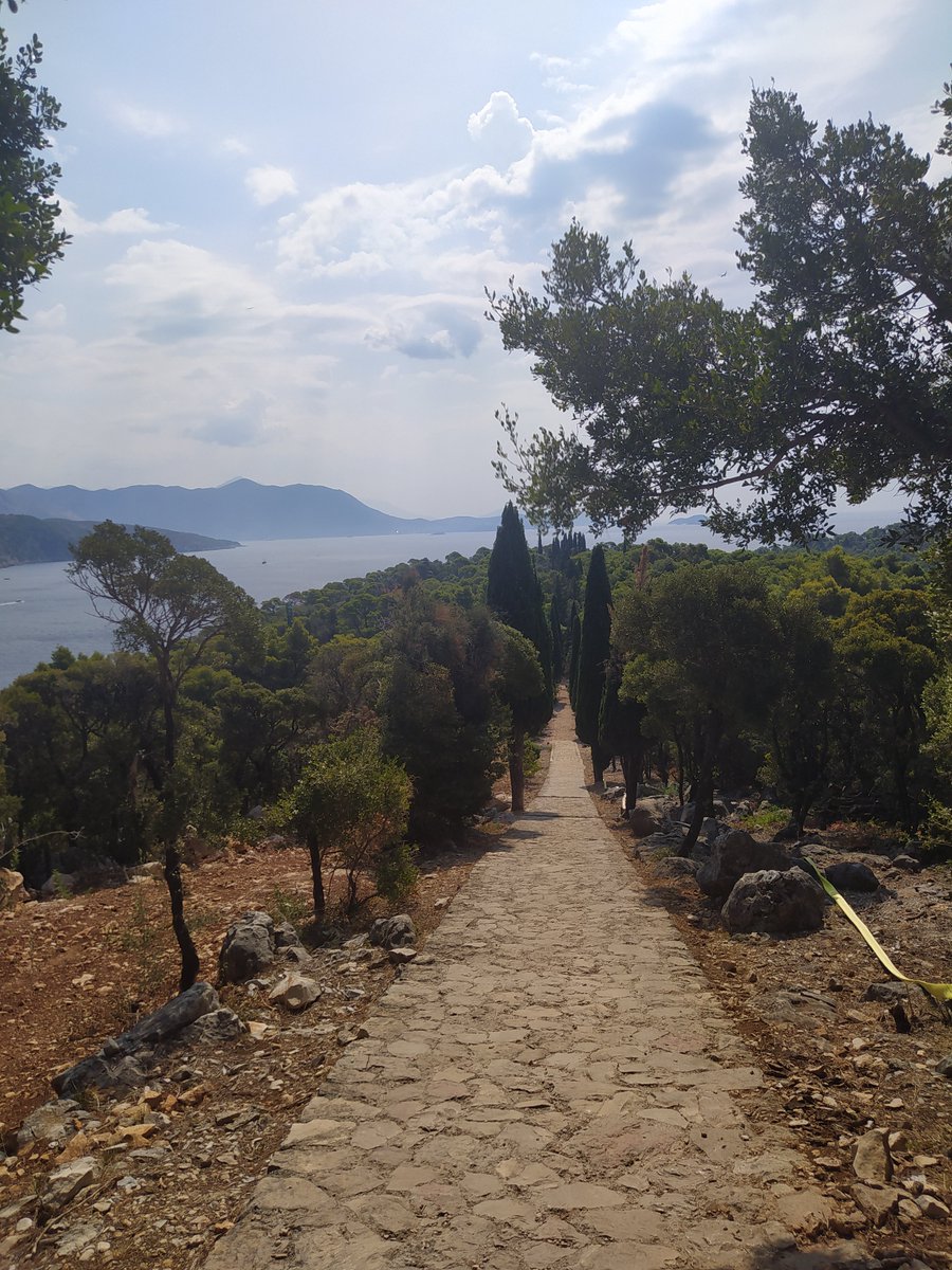 FranicaDevoic's tweet image. #Lokrumsummertime #amazingnature #perfectshade