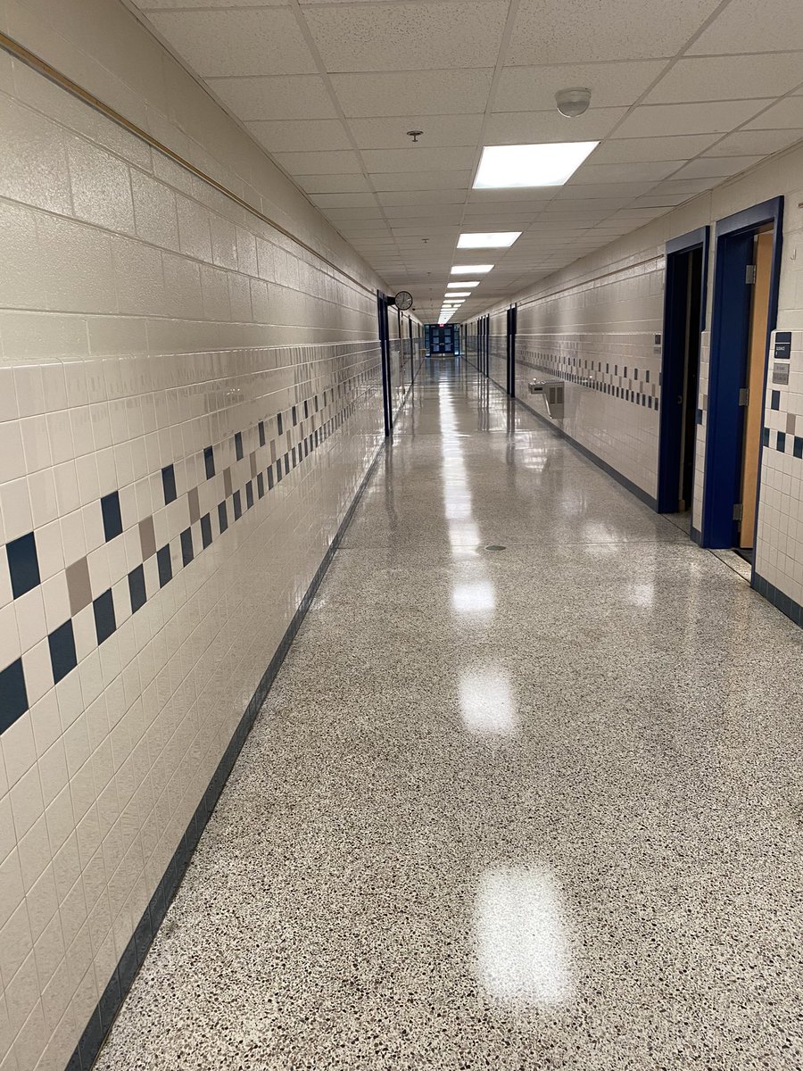 Arla shindelar tweet media