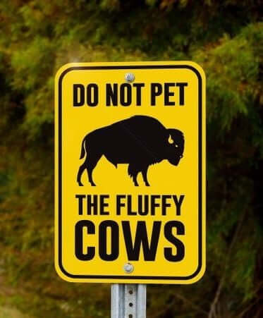 MeanwhileinCana's tweet photo. Solid advice
#MeanwhileInCanada https://t.co/Q2JzSumUfy