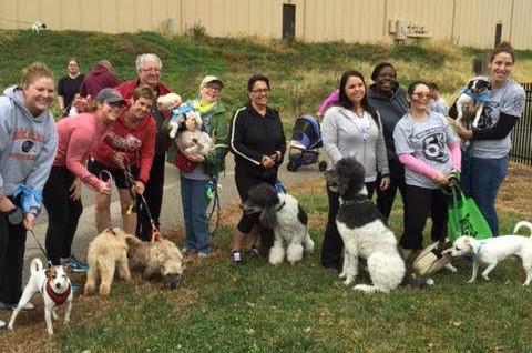 Registration is now open for our seventh annual 5K-9 run/walk! Get some exercise and help our homeless dogs! #wbcrdogs #blono #rescueworks #betheirvoice
conta.cc/3JLoV5S
conta.cc/3dnwfbZ