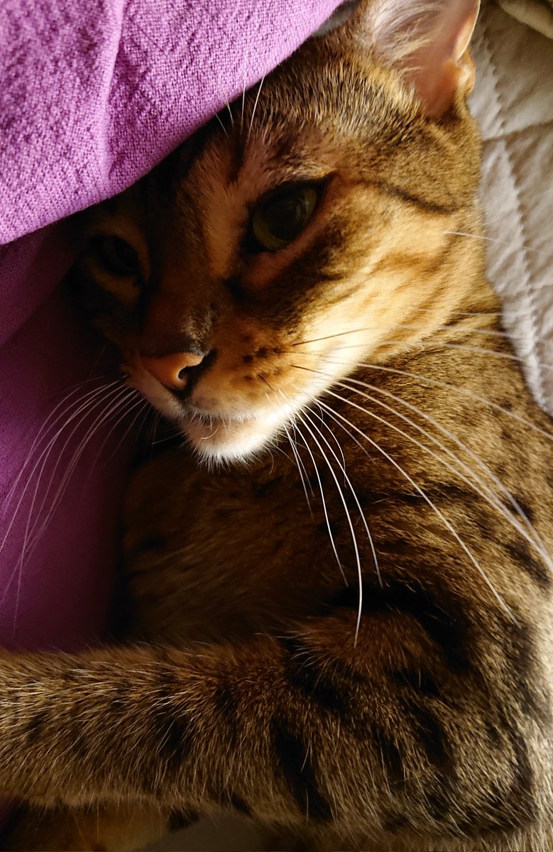 なぐさめてくれてるのかな
ありがとう