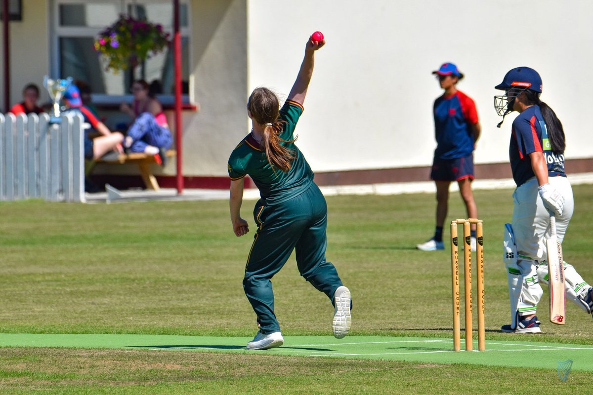 Cricket Leinster tweet media