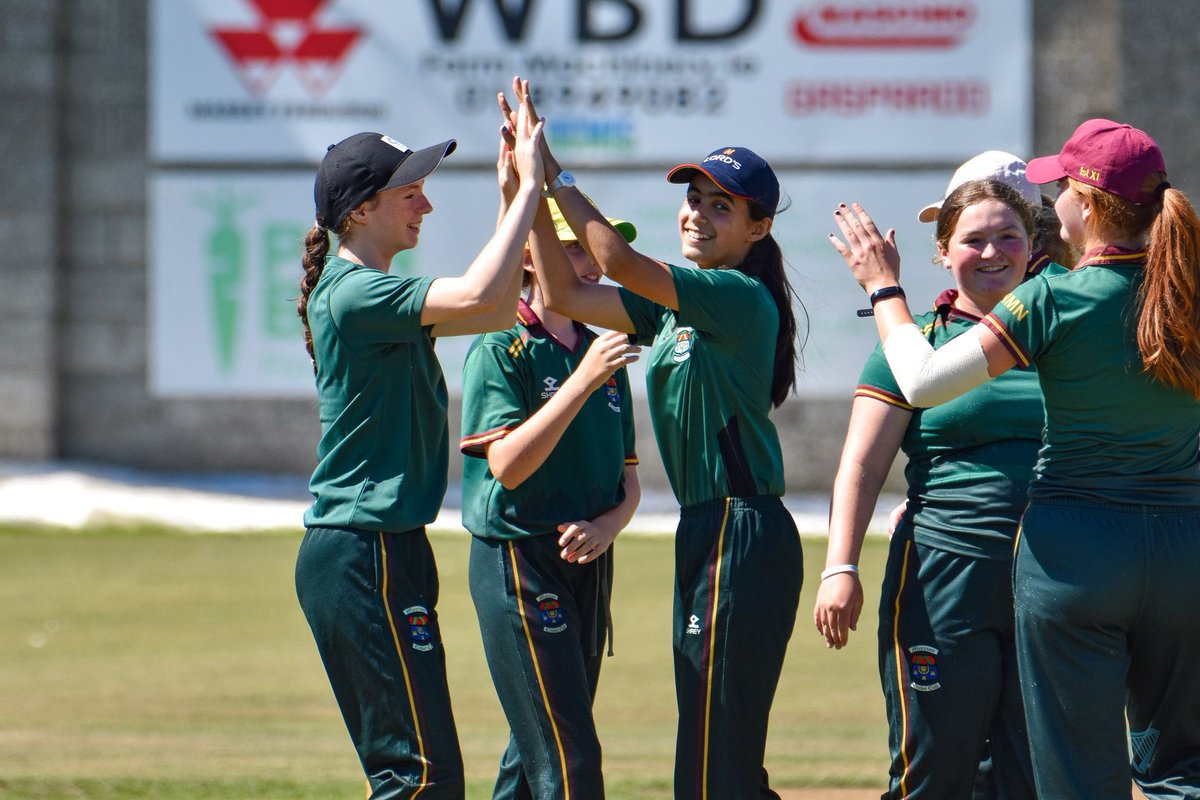 Cricket Leinster tweet media