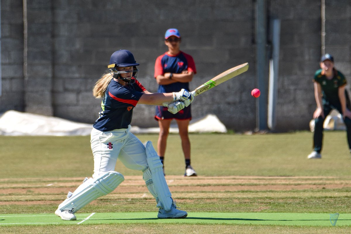 Cricket Leinster tweet media
