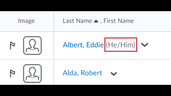 BrightspaceHelp's tweet photo. #ThrowbackThursdays
At #D2L, we strive to create inclusive learning spaces! #Classlist can now display users’ pronouns next to their names. Give users the ability to personalize what pronouns they prefer. Jump into our June Release Notes to learn more!
https://t.co/eLwVkfRh4o https://t.co/nw0TEKNebL