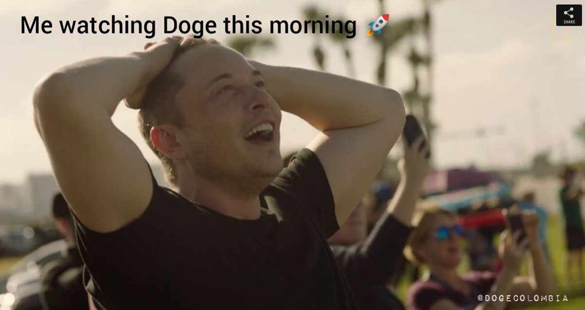 santiagomosi's tweet photo. Good morning #dogefam https://t.co/bstovgf1GI