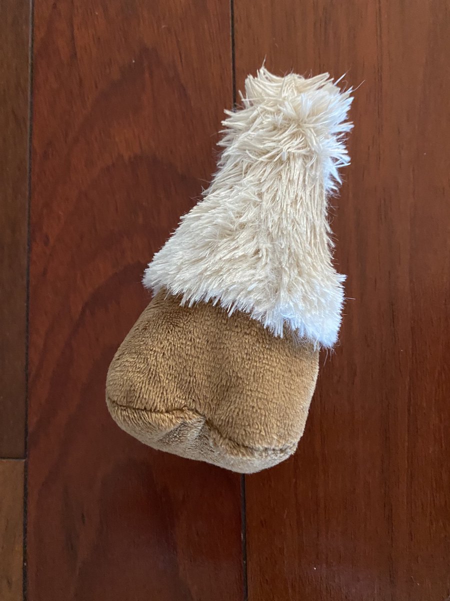 createurownart's tweet photo. Love me a good lamb chop!                   Sadly, the paw is all that survived.
#dogsoftwitter #aggressivechewer #fun https://t.co/QCYze65So2