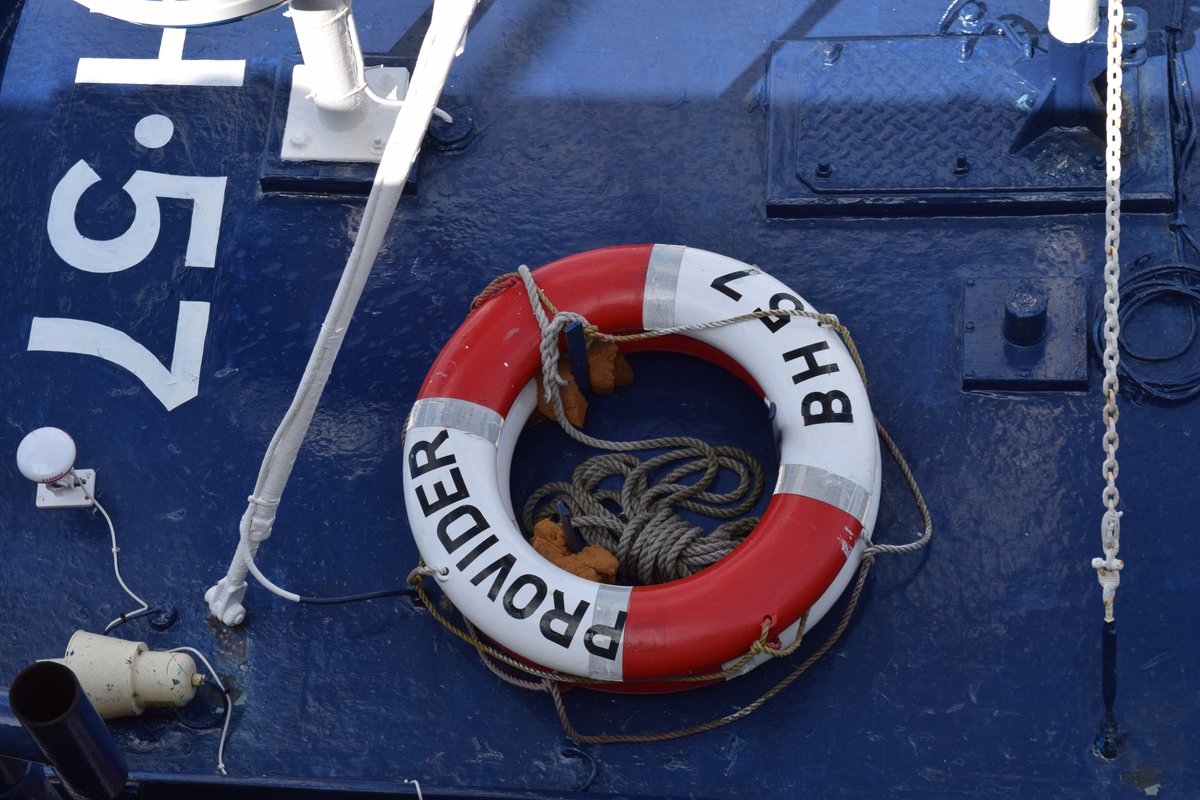 sue ranger (she/her) tweet media