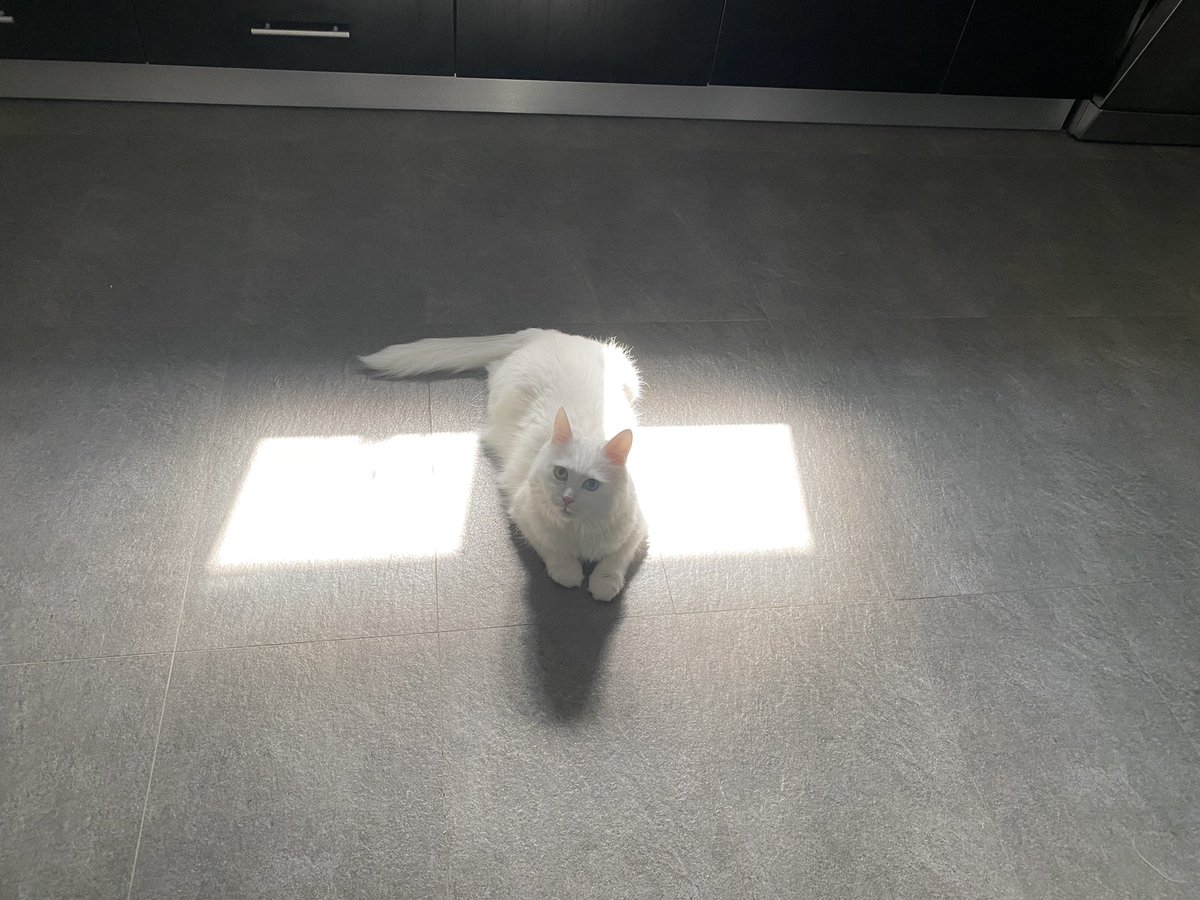 I have a quest for you