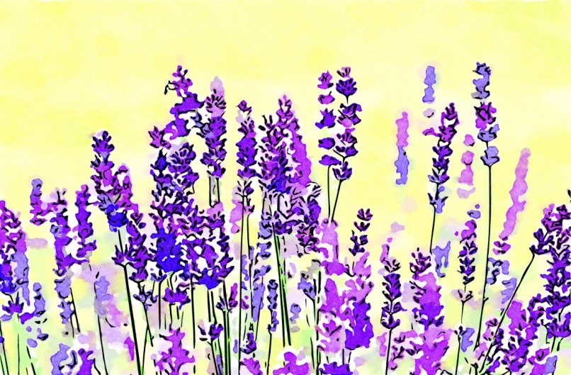 Purple #Lavender #Flower Field Horizontal #watercolorpainting #art 

#aquarelle #watercolorart #flowercore #bloomcore #BuyIntoArt #Flowers #floralart #petalspalette

VISIT petalspalette.rebubble.com FOR MORE