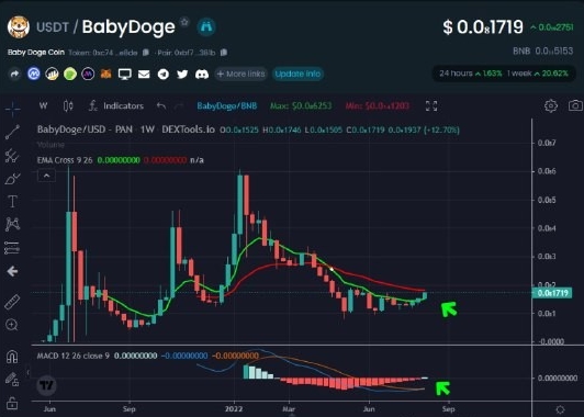 DogefanBaby's tweet photo. #BabyDogeCoin #BabyDoge BIG PUMP COMING !!!! https://t.co/3En3npYSZI