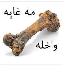 MASPB4's tweet photo. @mobeenkhan1231 @saarah_163 دخپل بادارلپاره جلالی شپه اوورزغاپی https://t.co/ehYUr5d2Mh
