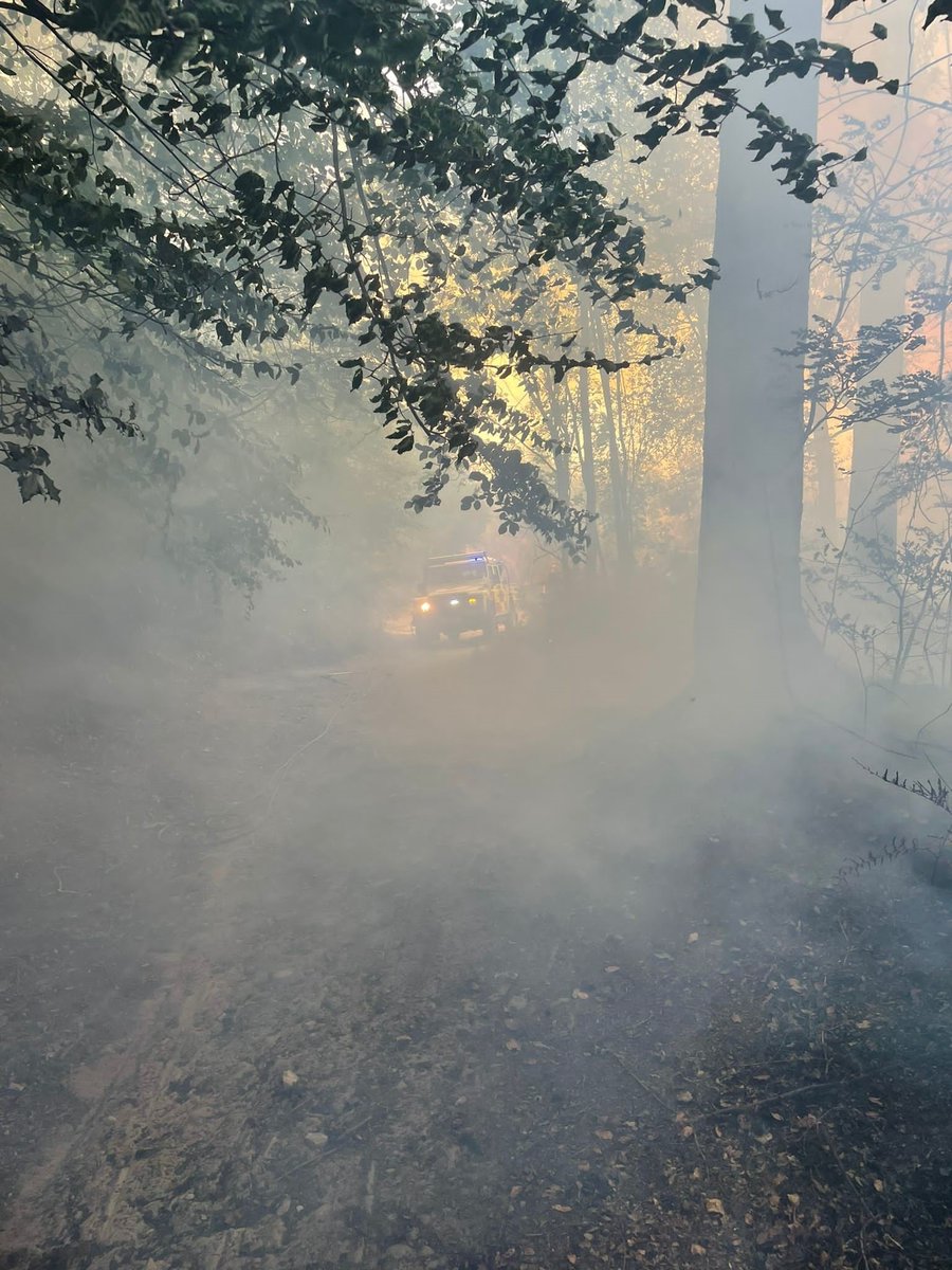 SurreyFRS's tweet photo. We are no longer in attendance at at Coldharbour. The site is being monitored by the Forestry Commission. We will return for a re-inspection later today.

1 hectare of dense woodland &amp; peat was affected, multiple units &amp; specialist wildfire Unimogs &amp; Landrovers attended. https://t.co/4qN1WcaMLn