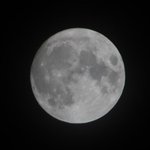 ツイートに含まれる画像