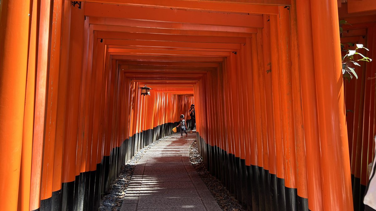 multiple torii torii stairs scenery japanese clothes 1girl solo  illustration images