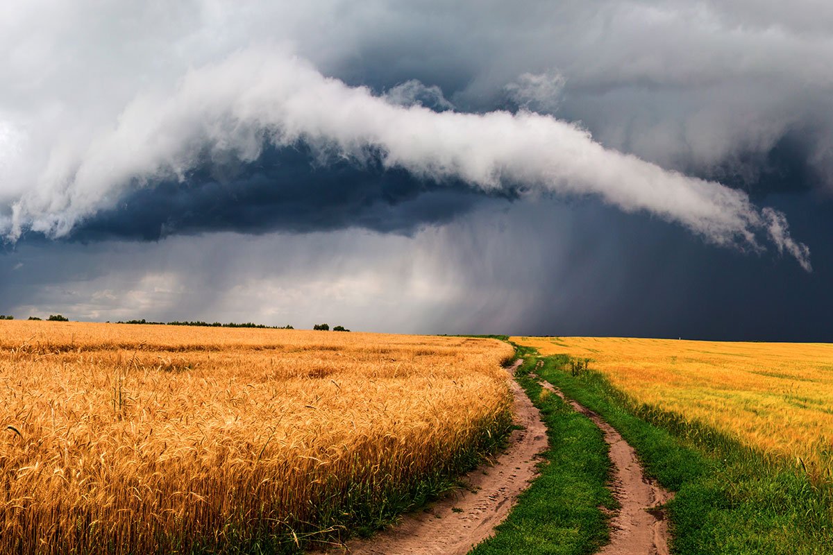 Live FAQ Session: Rapid Response To Extreme Weather Events Across Food And Agriculture Systems
nifa.usda.gov/live-faq-sessi…