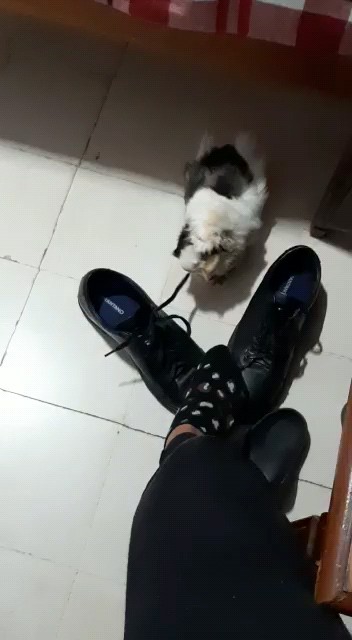 siempre te voy a recordar 🤍