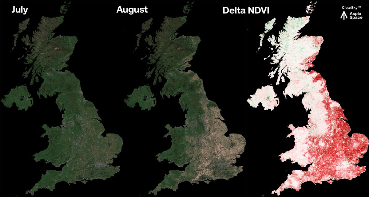 How can #AI help us monitor the impact of the UK #drought? 

Our ClearSky algorithm allows us to produce regular cloud-free hyperspectral #EO imagery.
 
We can quantify and visualise the #heatwave's impact by mapping the change in the vegetation index, as shown here.

@BBCAmos