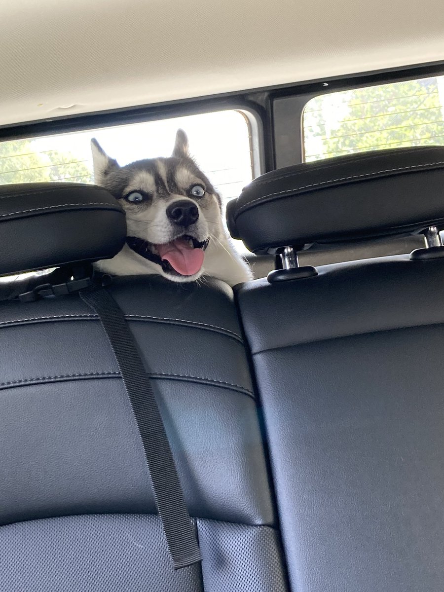 The Shining, going to the park edition.