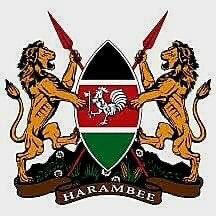 Repost this if you’re in team <a href="/RailaOdinga/">The Raila Odinga Amolo Foundation</a>