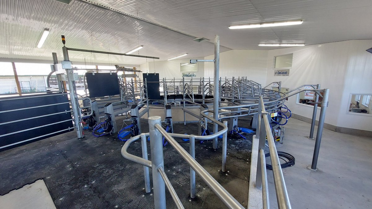 EthanBrownCow's tweet photo. T-minus 6days untill launch of Canada's first @Delaval E300 series Rotary.
- Stainless
- concrete deck
- low profile bail
- auto ID
- redesigned stall front
#ontag #dairyfarming #dairyfarm 
#dairydonewell @NorwellDairy https://t.co/fD99zoqjk3