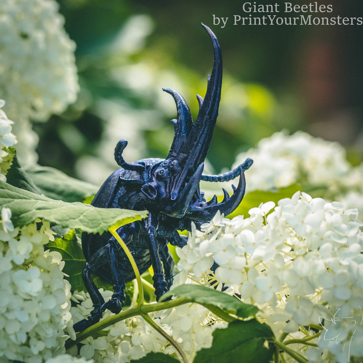 Giant Beetles by @printyourmonsters in #Fiberlogy #EasyPLA Aurora &amp; Vertigo &amp; SpectraBlue. Those realistic-looking models were printed by @huntliba.
Filament: fiberlogy.com/easypla 
#3dprinting #3dprint #filament #aurorapla #vertigopla #spectrapla #stampa3d #3ddruck #miniatures