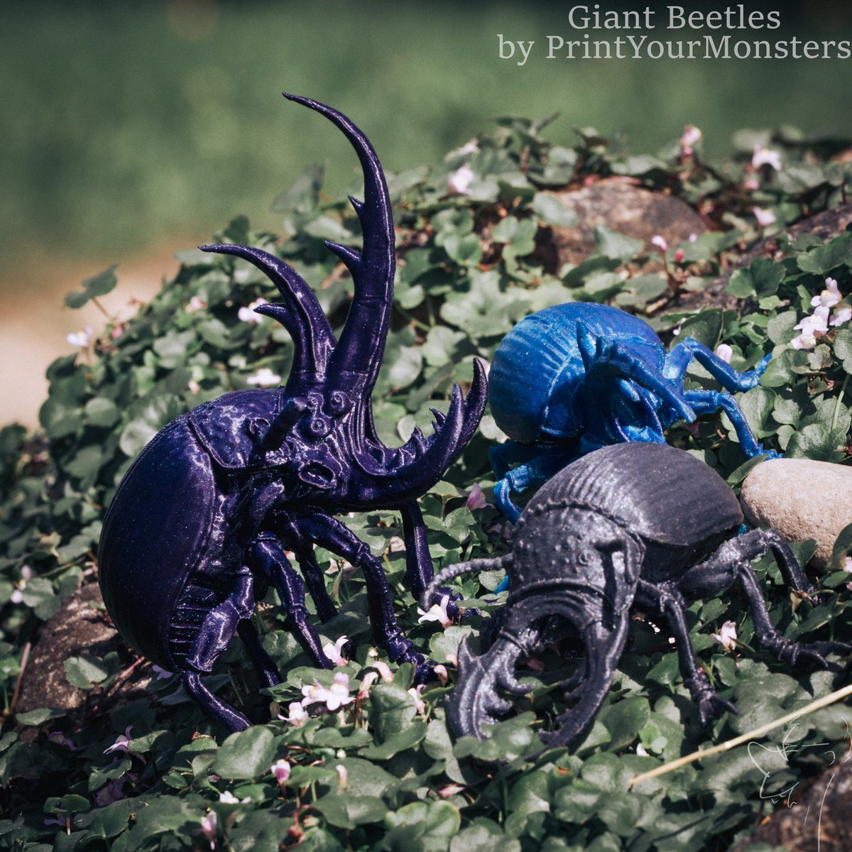 Fiberlogy_3D's tweet photo. Giant Beetles by @printyourmonsters in #Fiberlogy #EasyPLA Aurora & Vertigo & SpectraBlue. Those realistic-looking models were printed by @huntliba.
Filament: https://t.co/wbe0vSxbgC
#3dprinting #3dprint #filament #aurorapla #vertigopla #spectrapla #stampa3d #3ddruck #miniatures https://t.co/jYsKqysDgV