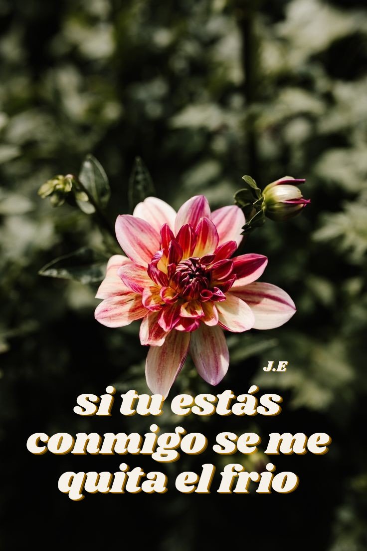 JEmbajdores's tweet photo. Dios es mi abrigo al corazón frío❤️ #Diostebendiga #hagamosviralajesus #Jesusteama #Diosesfiel #Jovenescristianos https://t.co/pAbAikkGNq