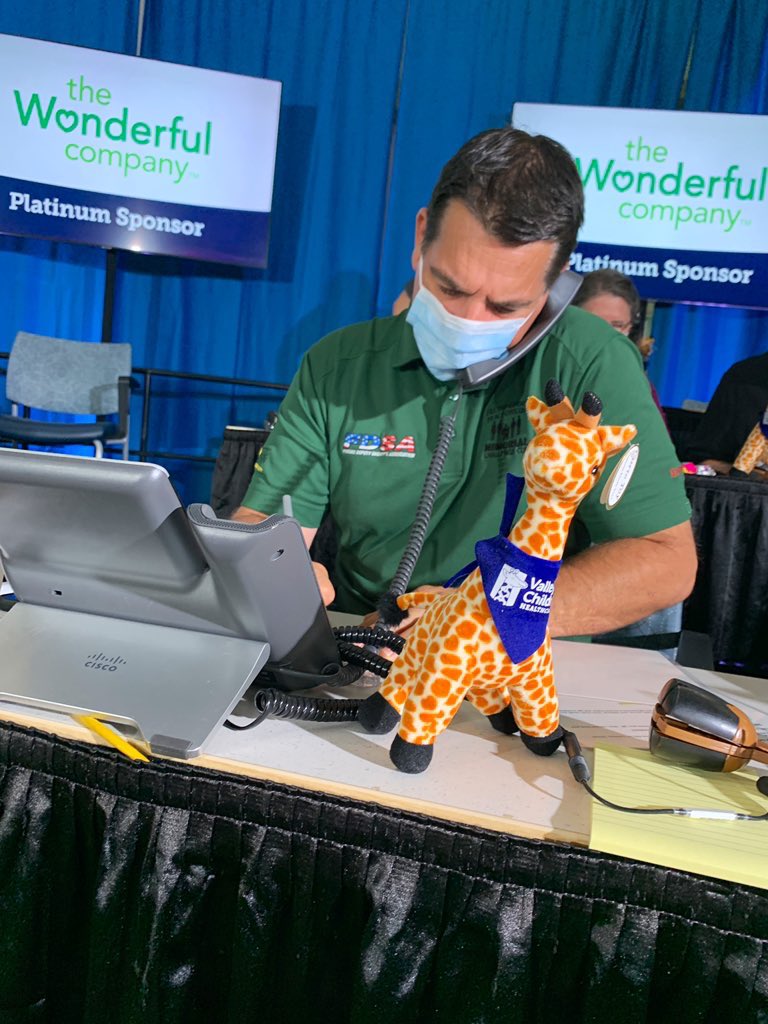 Vanessa Vasconcelos tweet media