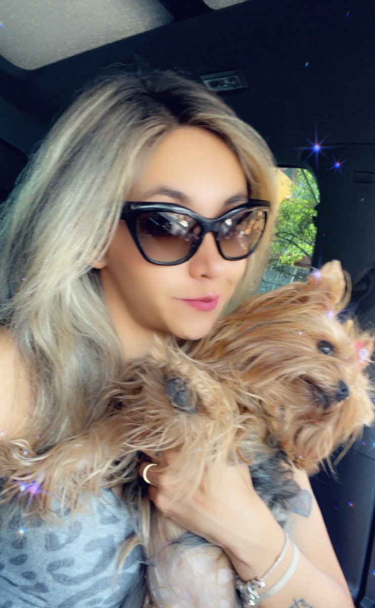 DanyGrass's tweet photo. Las mas chivirikas 😻😻😻 #chivi #chubaki #chivirika #yorkie #yorkshireterrier #teamobebe #petlover #depaseo #lasmasfashion #perrodeldiablo #mibebe #danyychubaki #danygrass @DanyGrass https://t.co/Gr9nxJv8cj