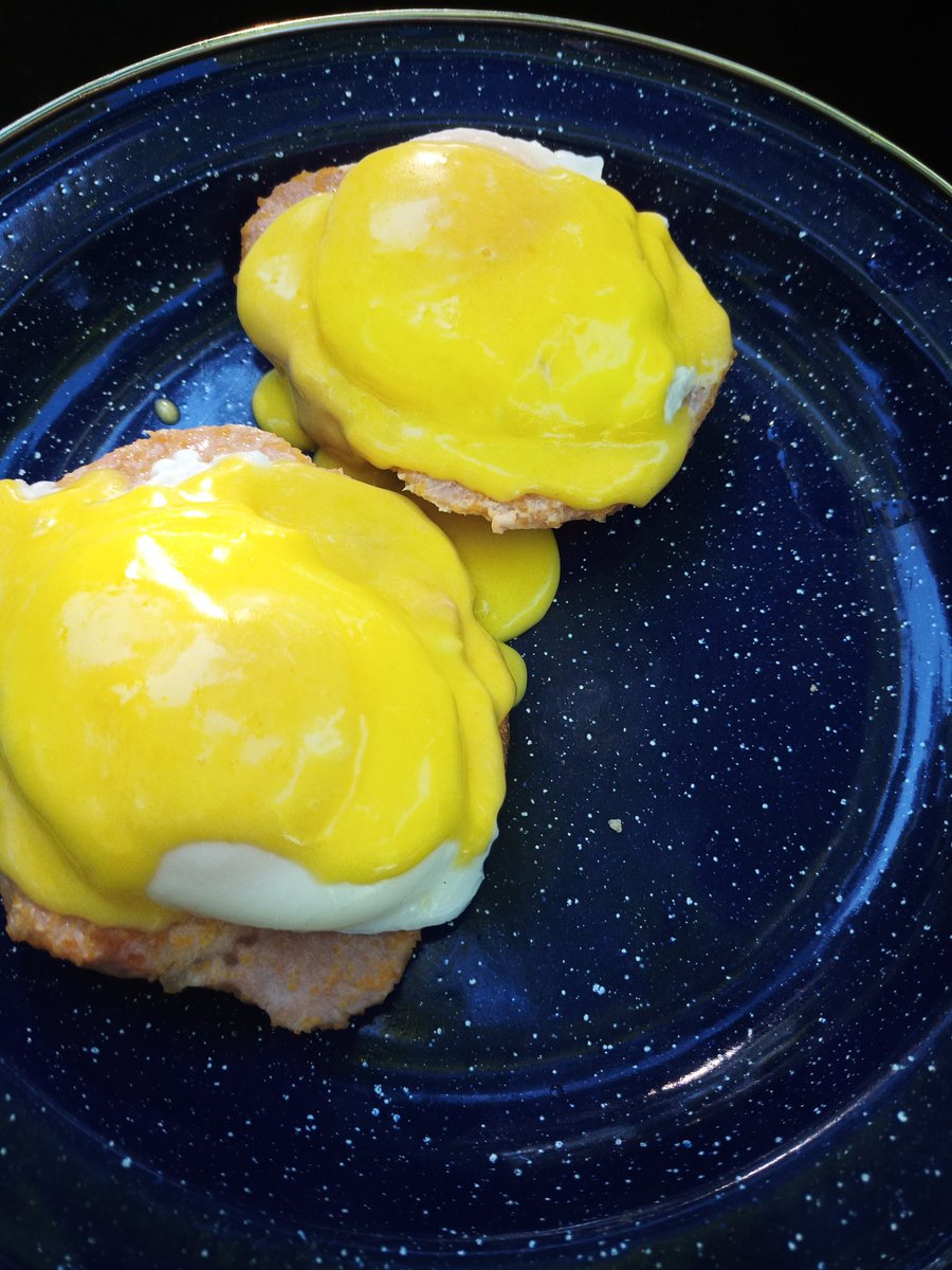 ScouterAndy's tweet image. Yes you can make Eggs Benedict from scratch on a Coleman stove... my Scouts know how!  Camp cooking with @scouterjulie and Rovers Chris and Matt; breakfast with a view at Grundy Lake! @GrundyLkPP #scoutsdostuff @scoutscanada @CECScouts