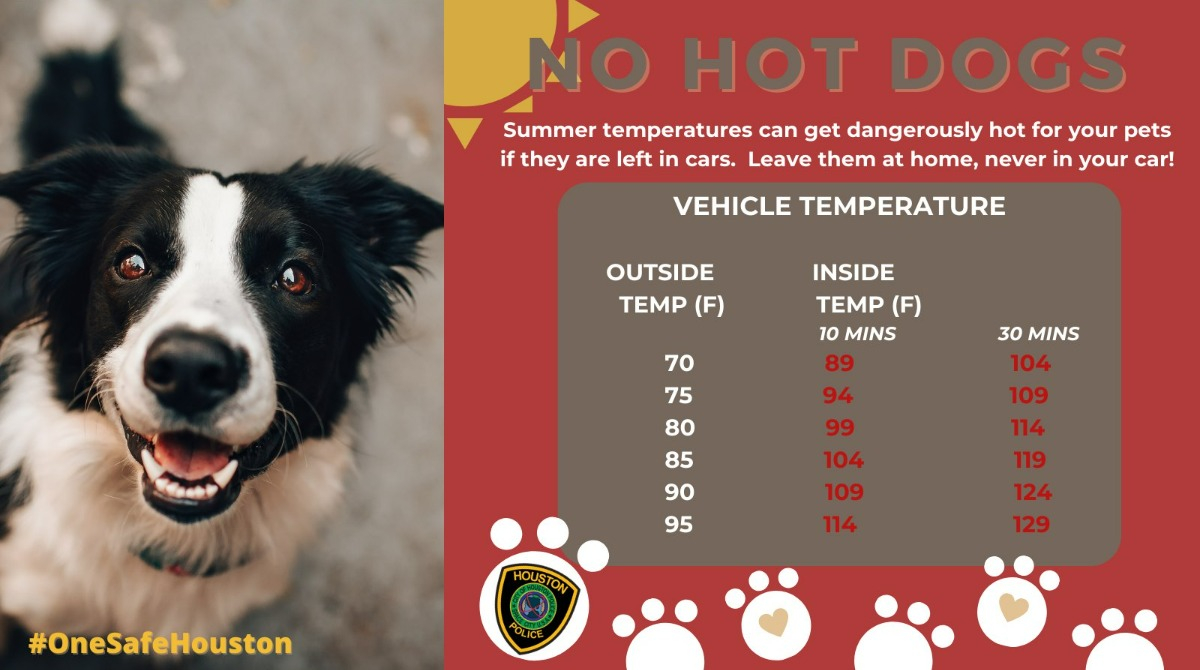 Protect your pets from this Texas heat and don't leave them in your car. If you see an animal in distress, call 911! 
<a href="/houstonpolice/">Houston Police</a>
