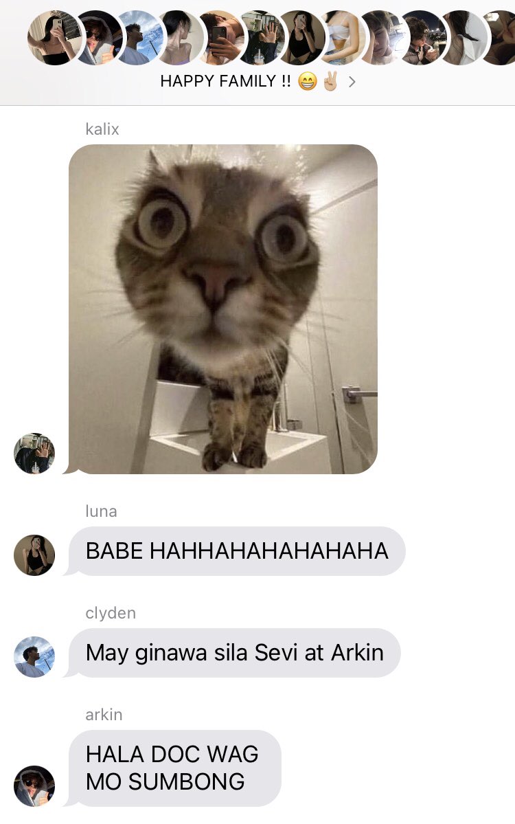 when sunday 🐱 was left alone with the boys (1/2)