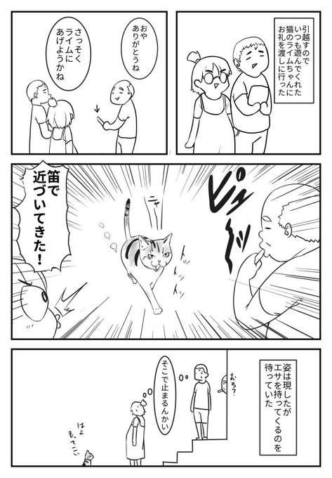 笛で猫を召喚するじいさん 