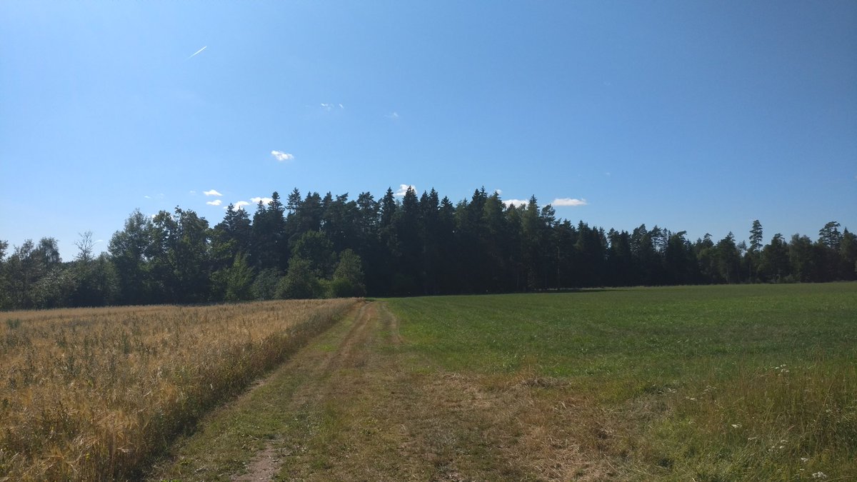 Reminder to go for walks on a regular basis 🌞🙏